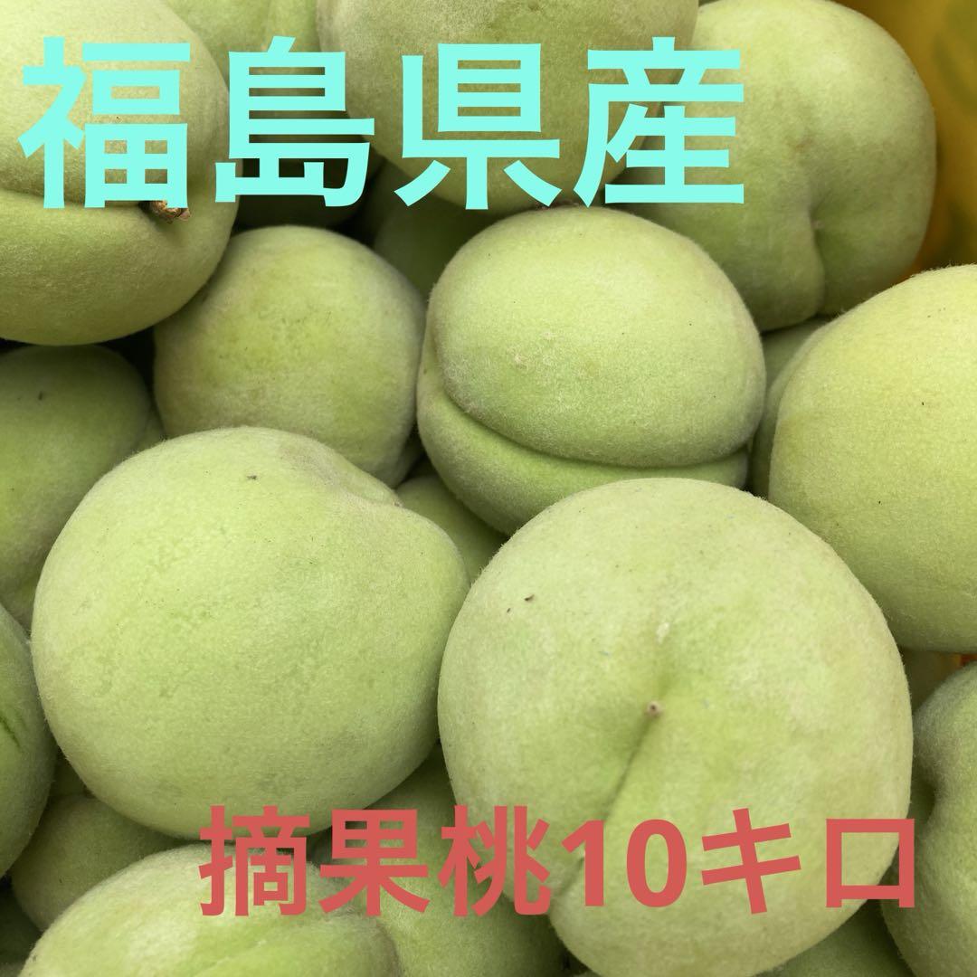 福島県産摘果桃10キロ