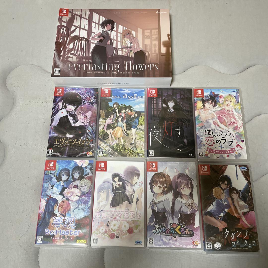 任天堂 Switch カセット セット