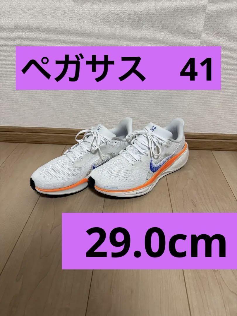 ナイキ ペガサス 41 29cm ブループリント HF0013-900