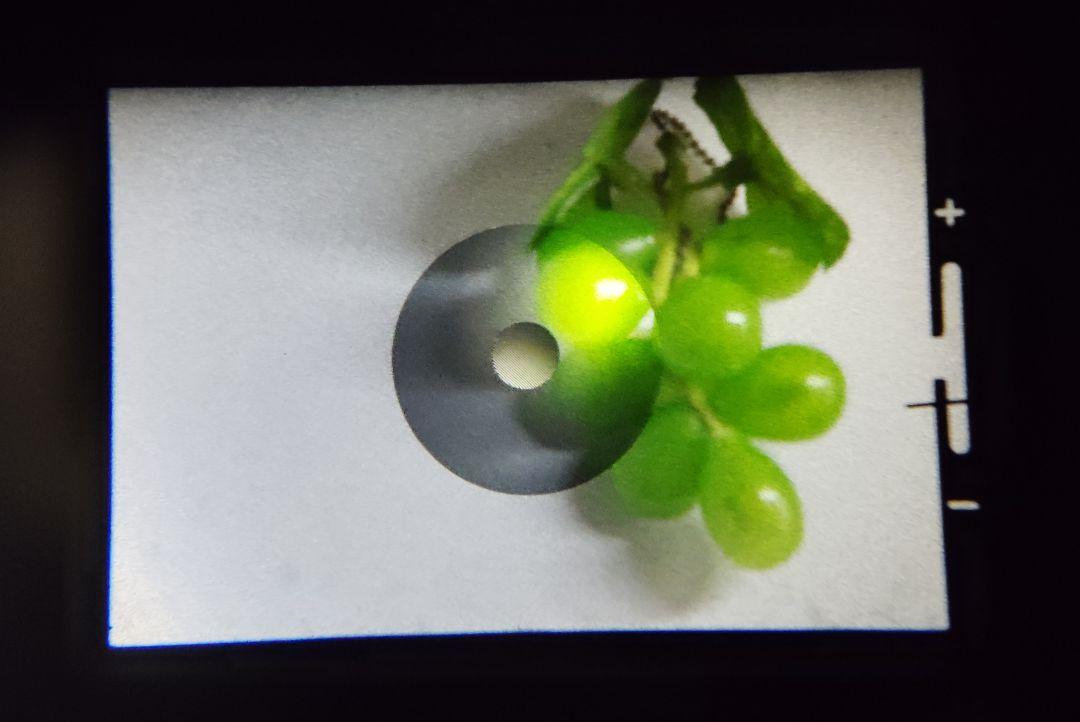 PENTAX SPOTMATIC SP（動作美品）