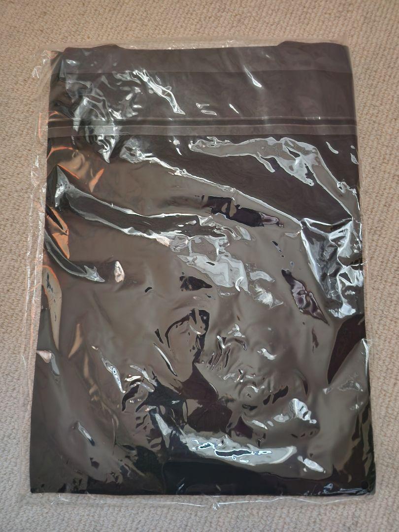 真天地開闢集団ジグザグ 参拝装束〈定番2023〉Tシャツ 黒 新品未