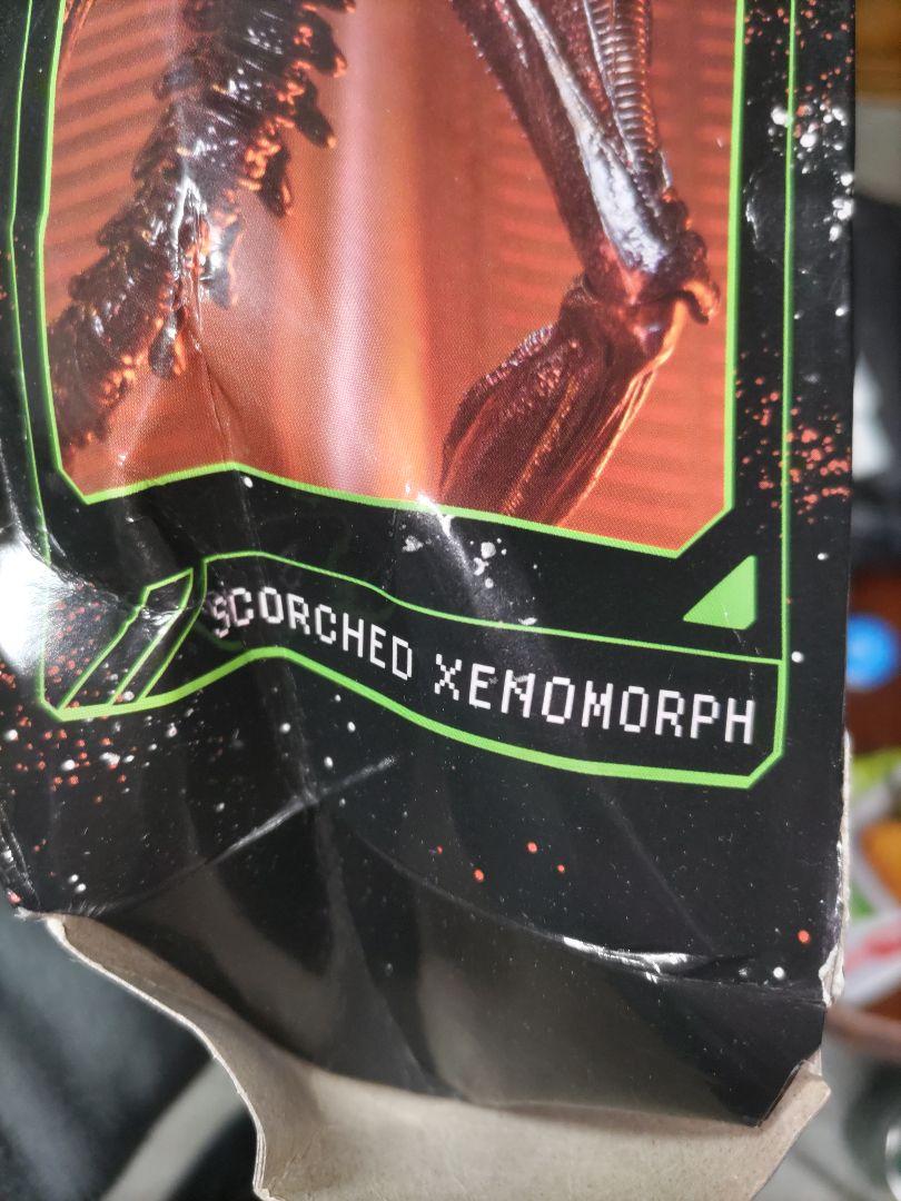 未開封品　箱ダメージ　neca ネカ　スコーチドゼノモーフ
