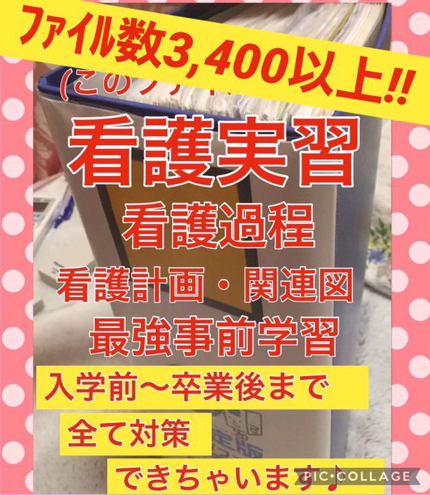 看護 実習 手順書 関連図 看護学生 実習記録 レポート 実習記録 国家試験