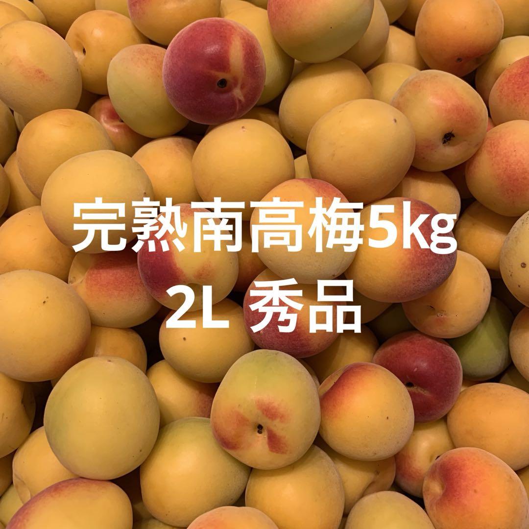 クール便対応　和歌山県紀南産　完熟南高梅5㎏ 秀品2L