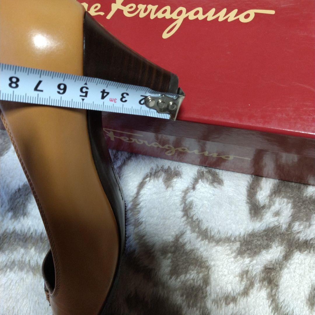 5 22.522.5cm・Salvatore