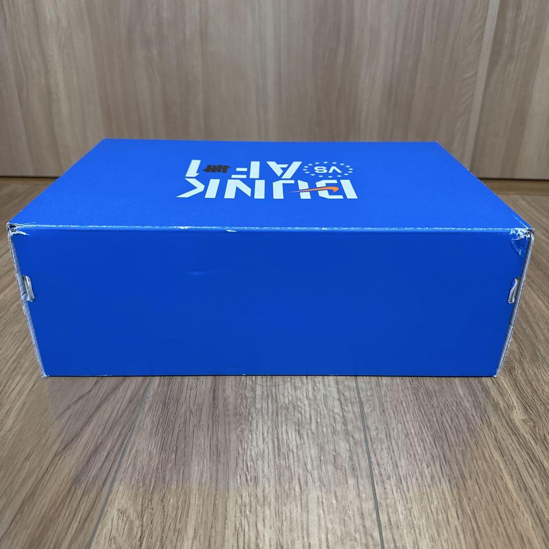 NIKE ダンクロー UNDEFEATED 28.5cm 未使用