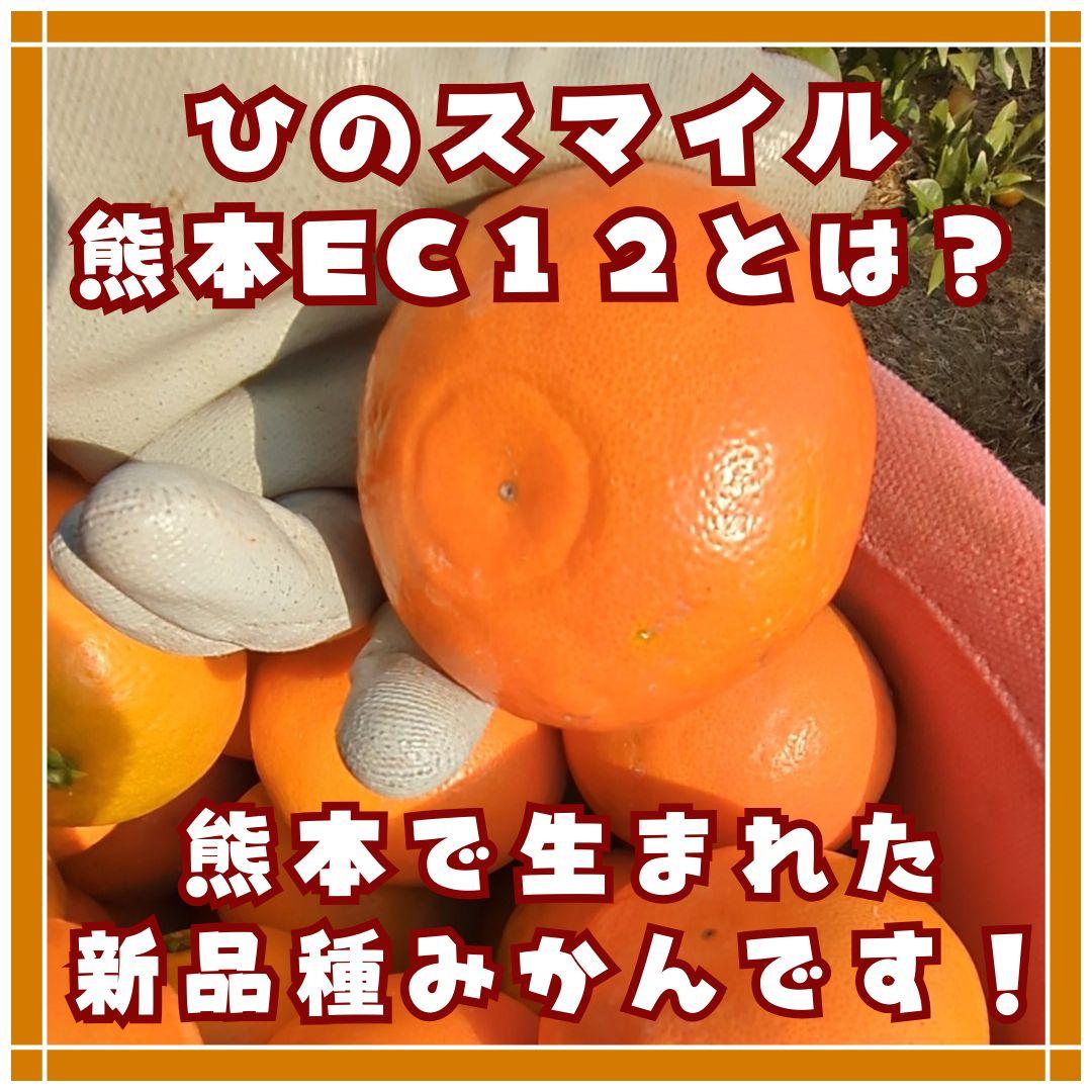 2500円