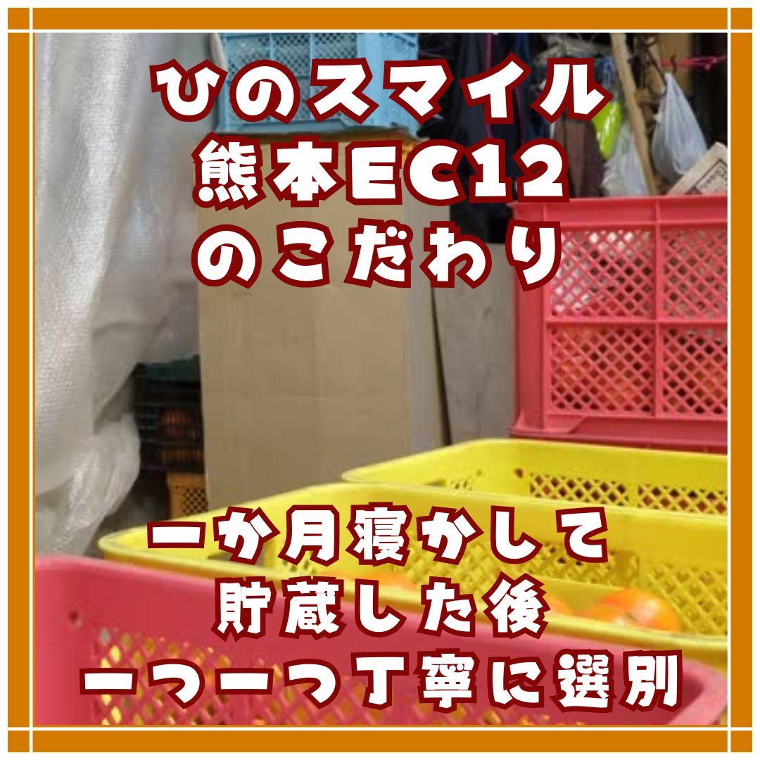 ひのスマイル 熊本EC12