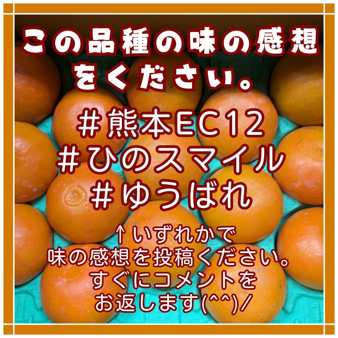 2500円