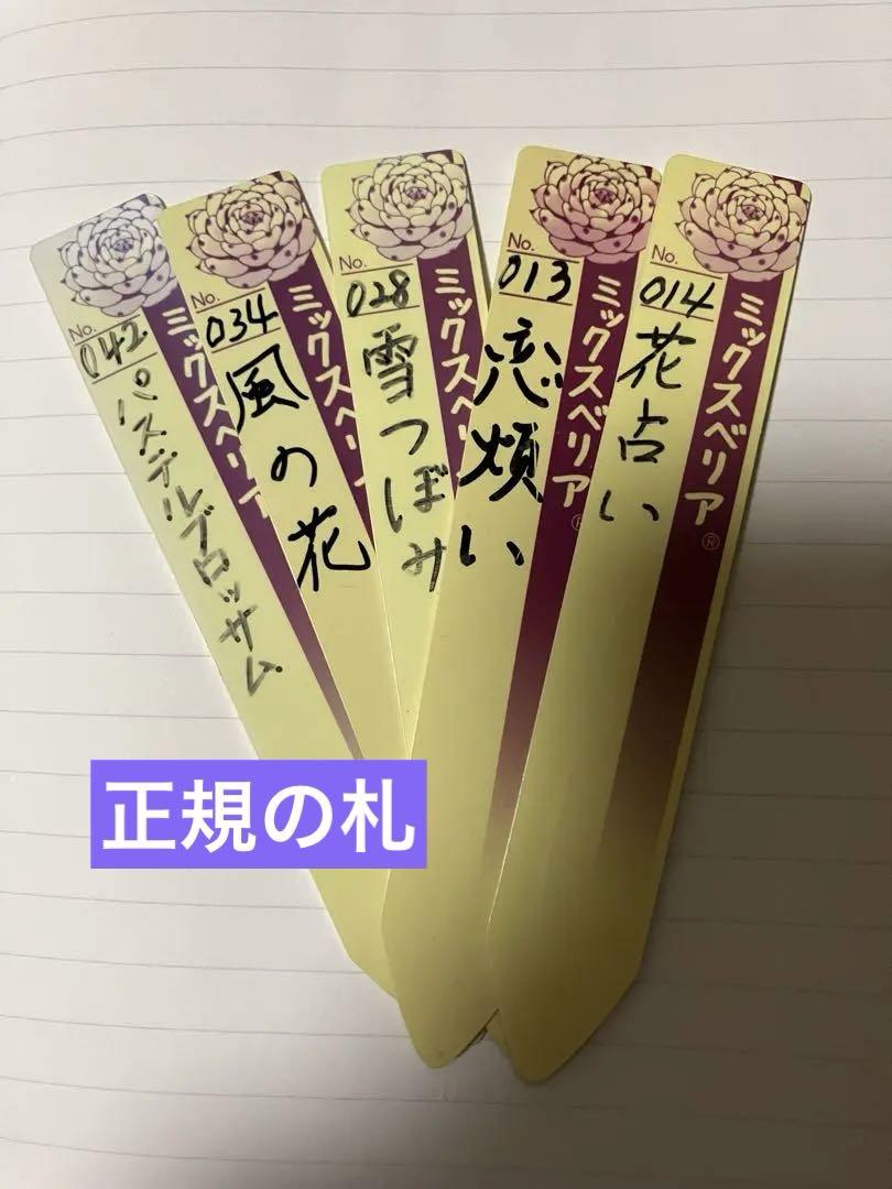 ミックスベリア 札のみ　特定記録つき
