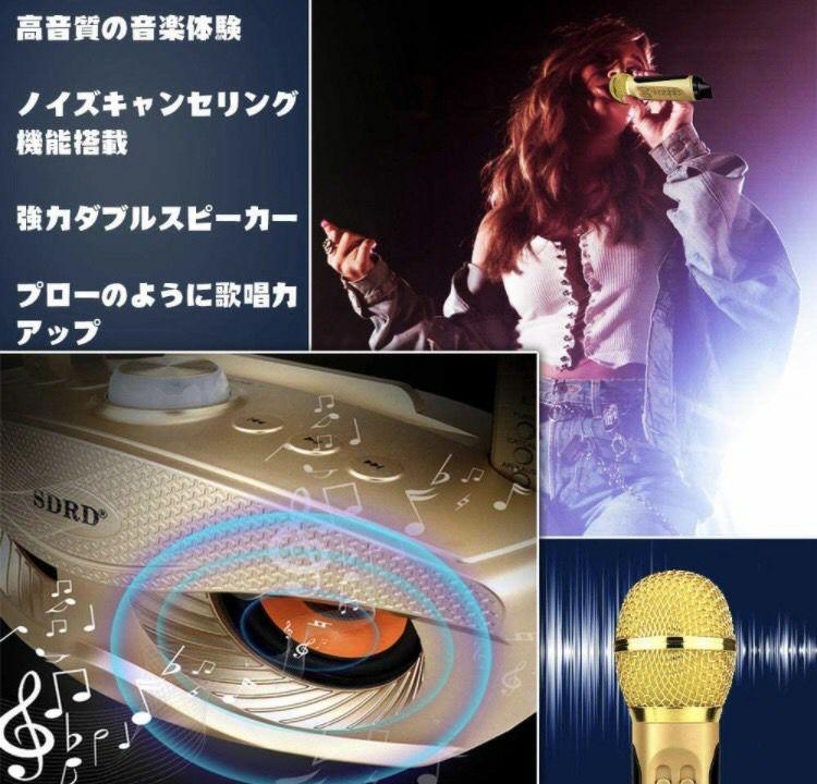 激安単価で Bluetooth 2本 高音質 多機能 RV4jJ-m91530982755 ワイヤレス カラオケ マイク HOT新作