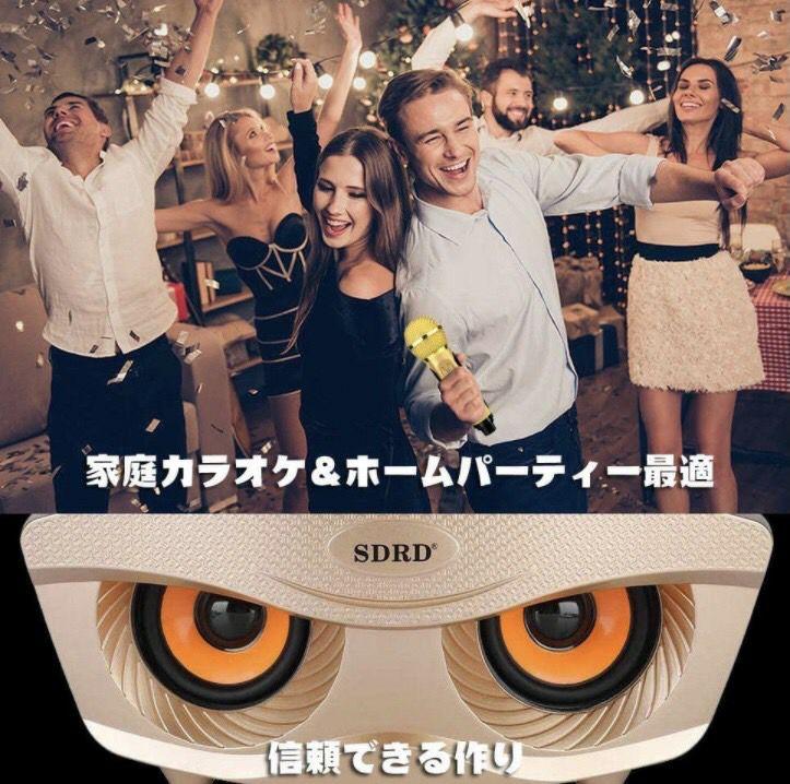 激安単価で Bluetooth 2本 高音質 多機能 RV4jJ-m91530982755 ワイヤレス カラオケ マイク HOT新作