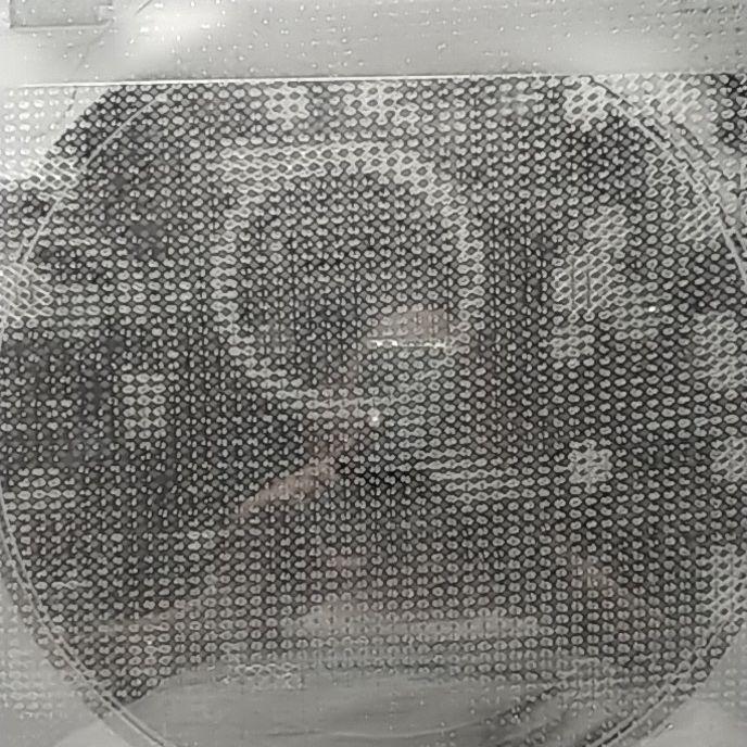 ジャパハリネット 念ずれば花開く 百花繚乱 解散ラストライブ