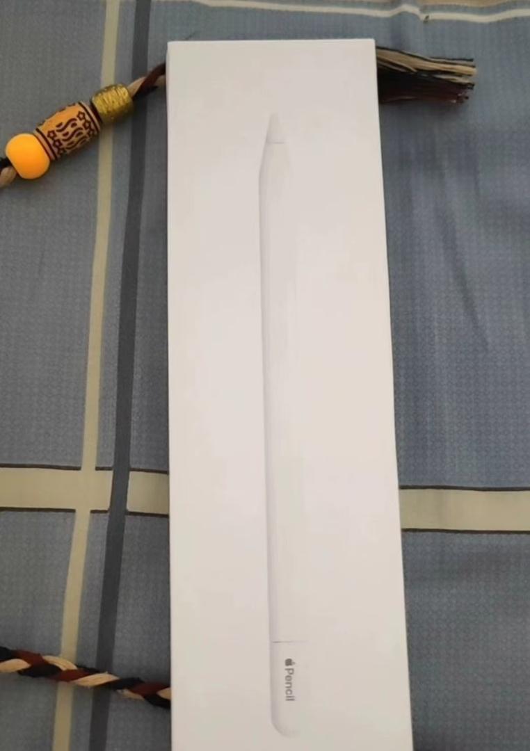※未使用※Apple Pencil(USB-C) ホワイト