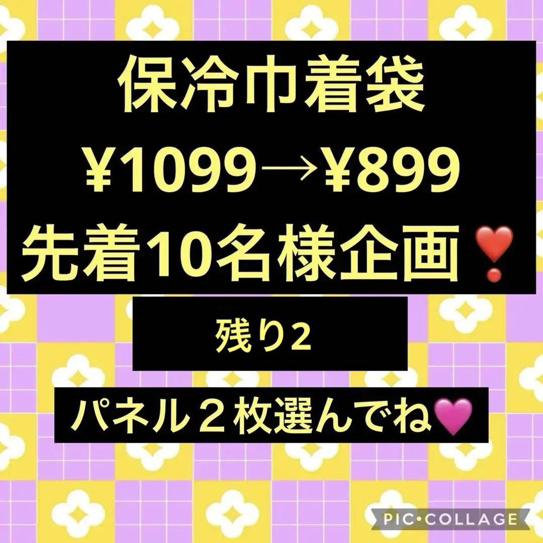 オーダー受付　保冷巾着袋　レアパネル生地　犬柄　インコ　飲料パウチゼリーケース