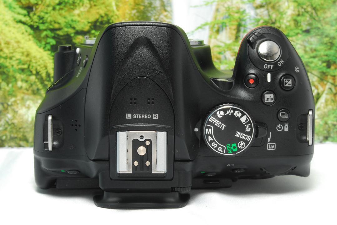 ✨入門一眼レフ✨Nikon D5200✨スマホ転送OK✨反転液晶✨高画質✨