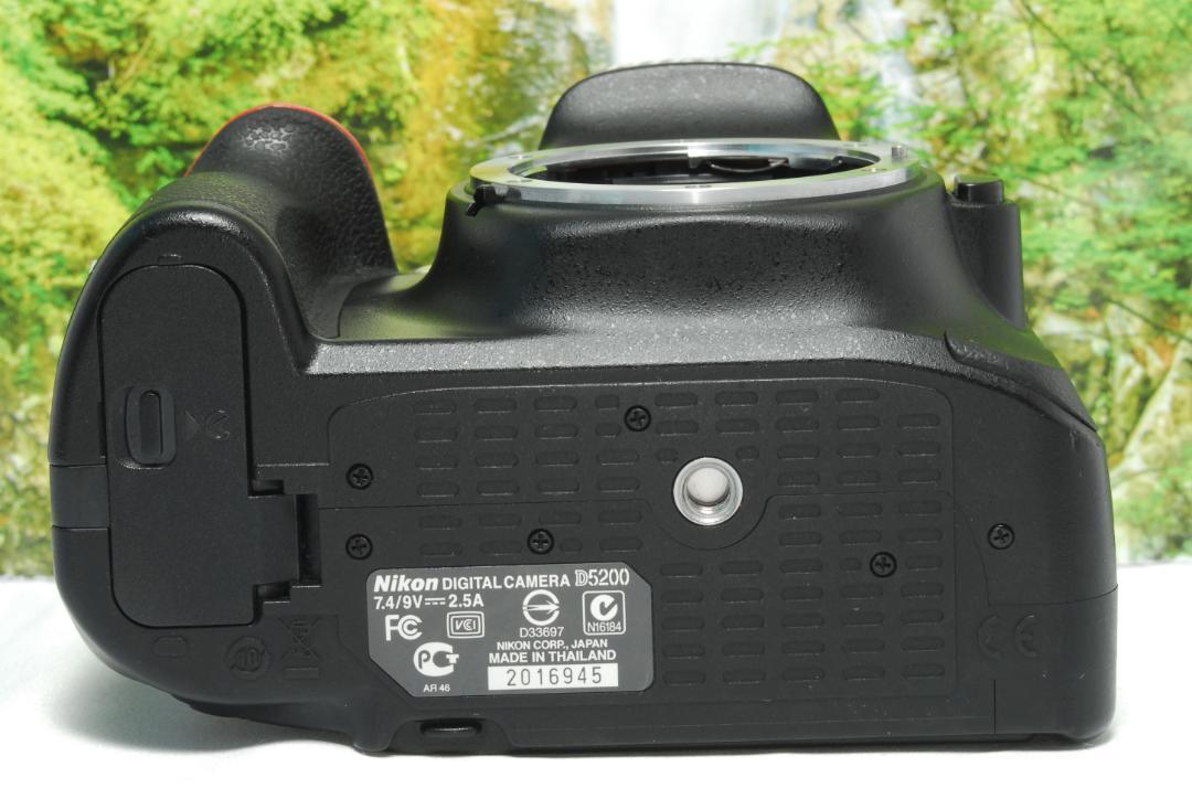 ✨入門一眼レフ✨Nikon D5200✨スマホ転送OK✨反転液晶✨高画質✨