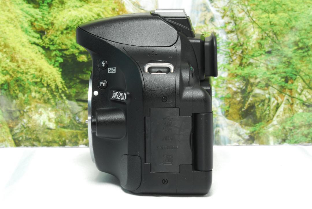 ✨入門一眼レフ✨Nikon D5200✨スマホ転送OK✨反転液晶✨高画質✨