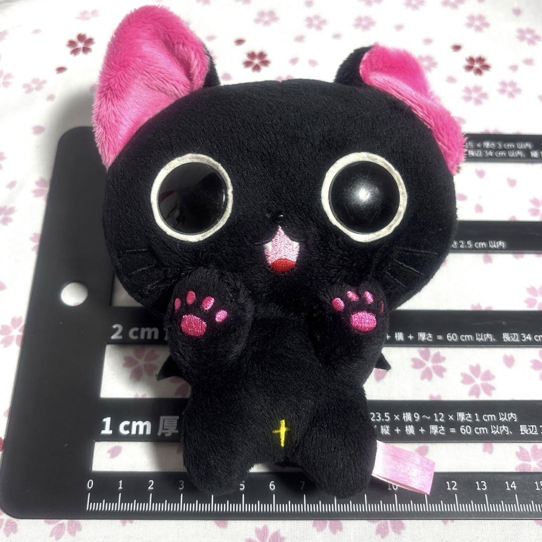 にゃんぱいあ ぬいぐるみ 中古 - メルカリ