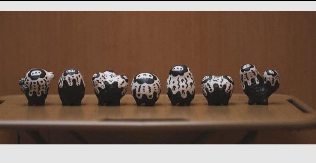 ゆうさん専用　 Copiapoa Mudball Blind box 6個セット