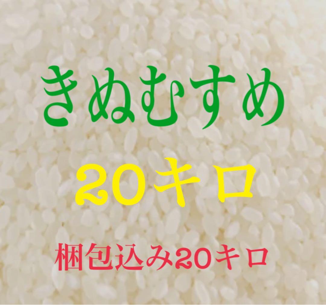 お米　きぬむすめ　20キロ