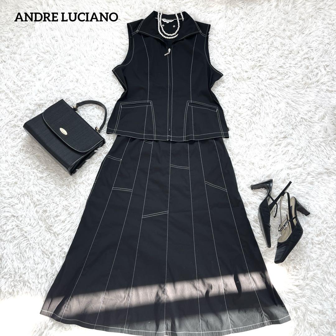 タグ付き美品☆ ANDRELUCIANO スカートセットアップ　ブラック　L
