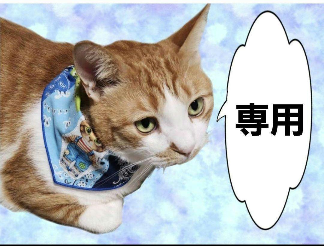 専用