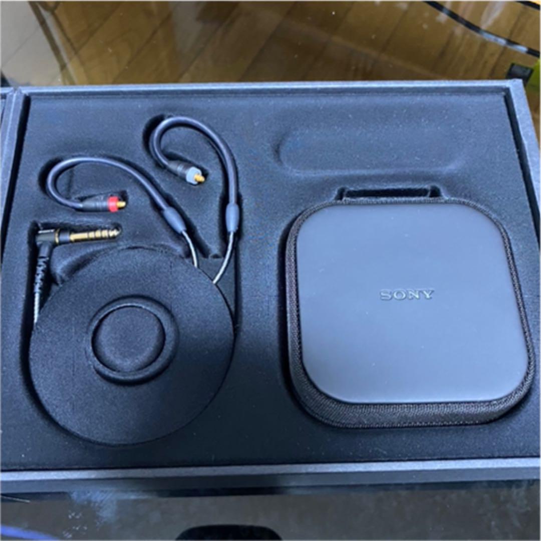 美品 NW-ZX507 IER-M7 83h4O-m91635334455 通販好評