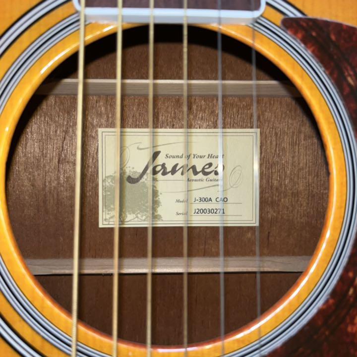 週間売れ筋 アコースティックギター CAO(セット) J-300A James - アコースティックギター - labelians.fr 週間売れ筋 アコースティックギター CAO(セット) J-300A James - アコースティックギター - labelians.fr