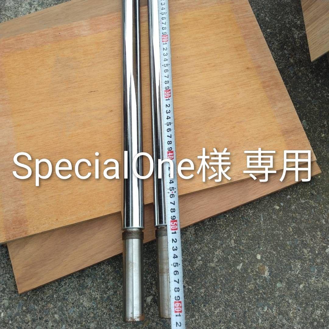 SpecialOne様