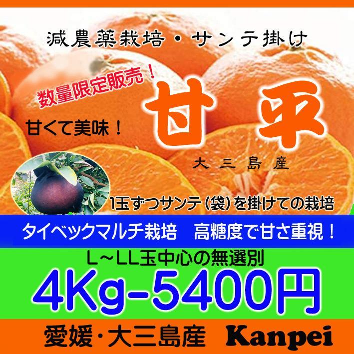 ふーこ様専用】L～LL甘平 4Kg+（4Kg＊2箱）＊2