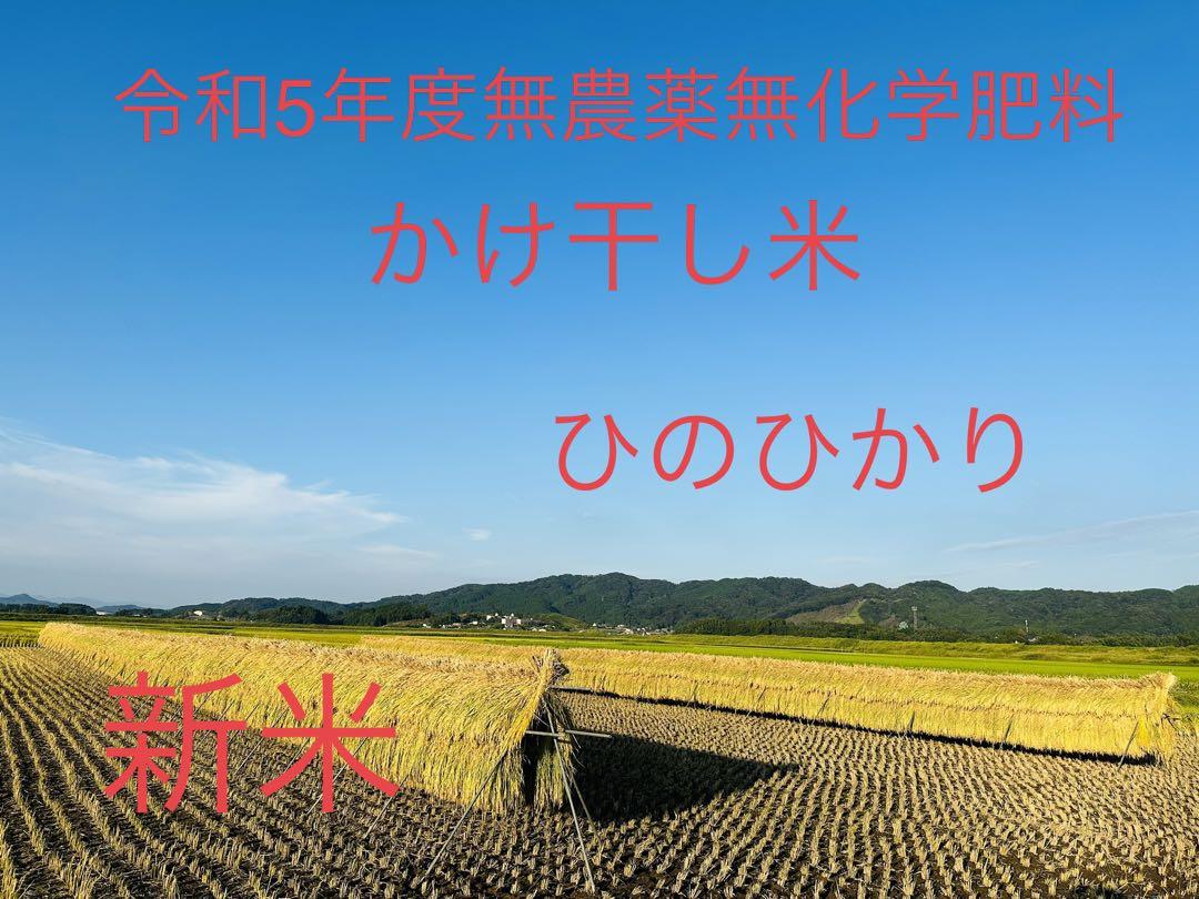 新米　令和5年度産　無農薬無　化学肥料　かけ干しヒノヒカリ　玄米10Kg