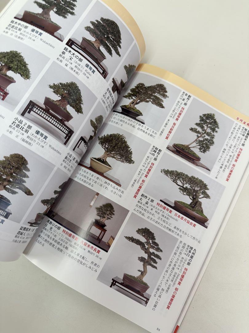 N238 さつき研究 2008年5月号 盆栽 雑誌 趣味 専門誌 - メルカリ