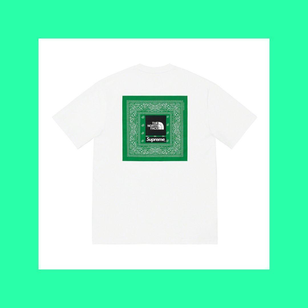 Supreme North Face Trekking Bandana Tee3