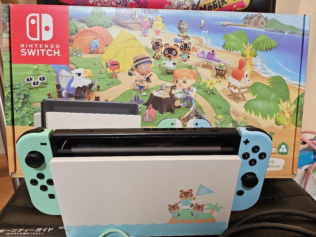 【携帯ケース付】Nintendo Switch あつまれ どうぶつの森セット