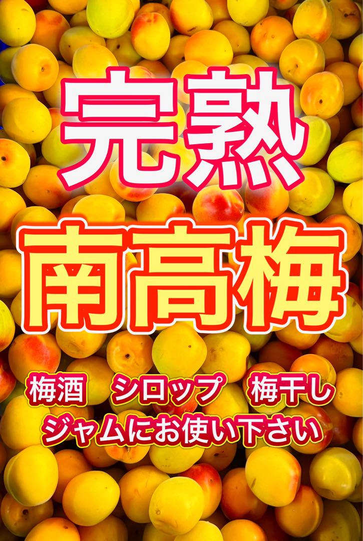 数量限定‼️木熟南高梅　大玉傷あり3L2Lサイズ　5kg みかんキング