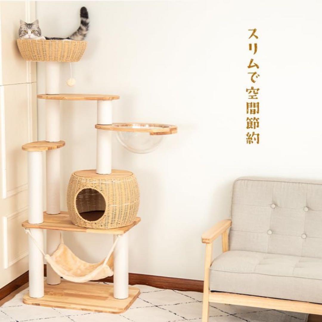 シモン