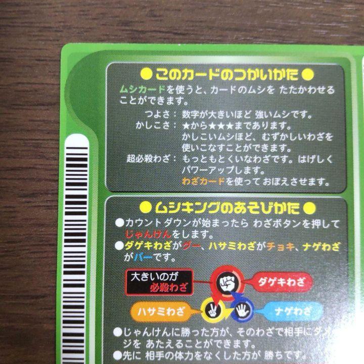 ネプチューンオオカブト ロケテ