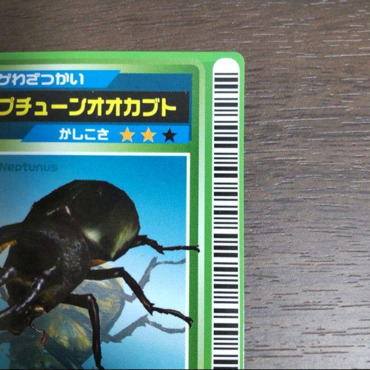 ネプチューンオオカブト ロケテ