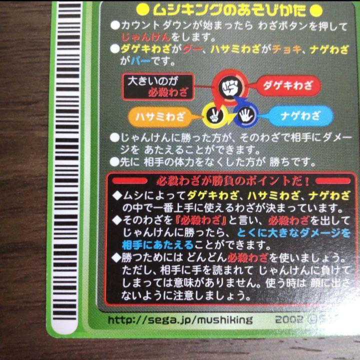 ネプチューンオオカブト ロケテ