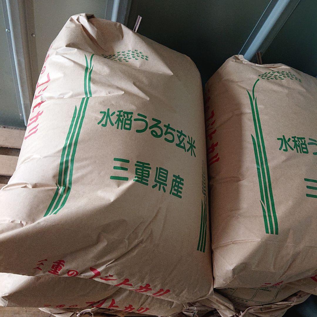 令和6年産　三重県産コシヒカリ　お米　玄米10キロ