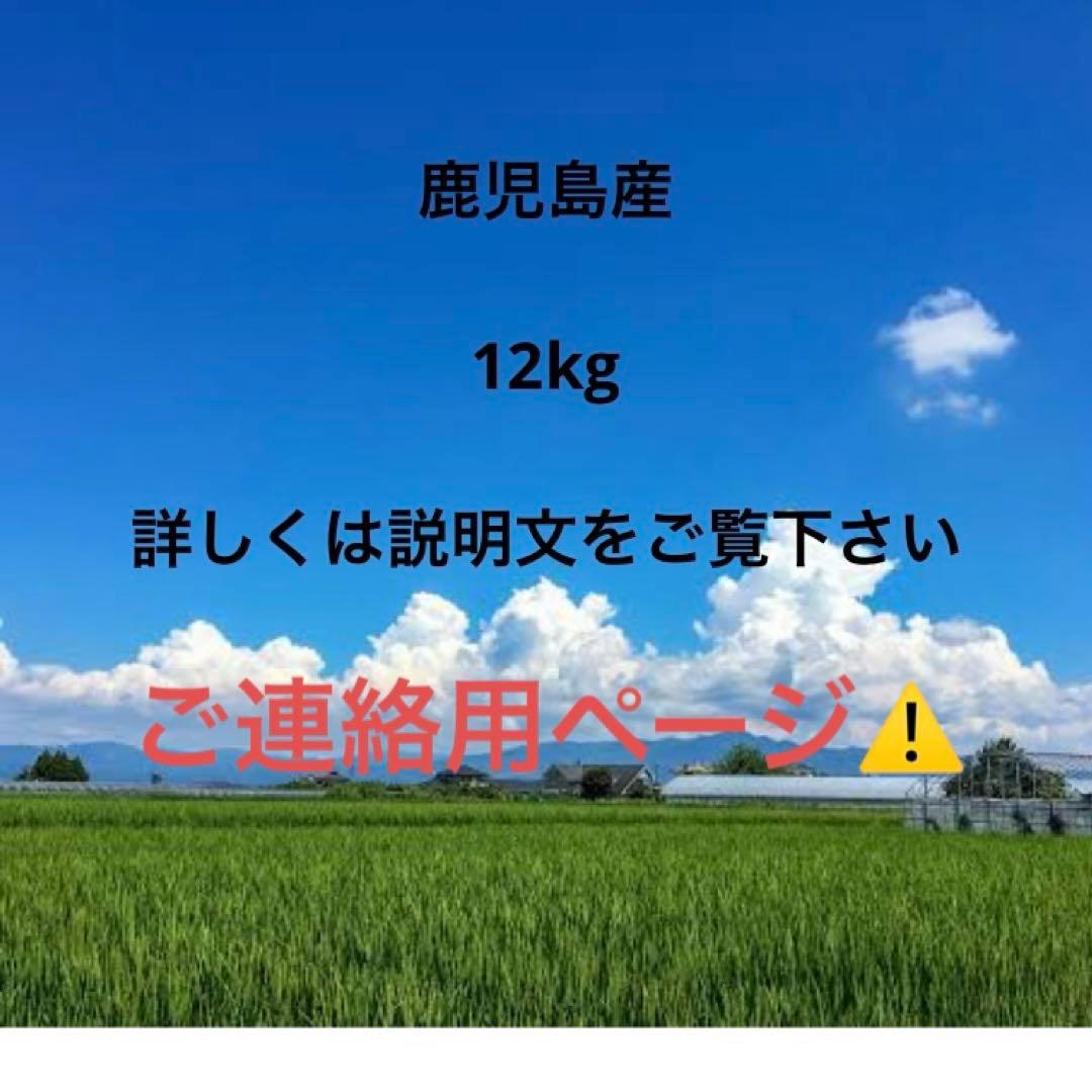 鹿児島産　12kg