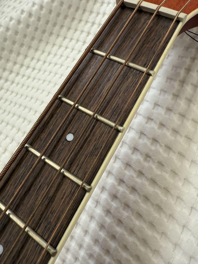 Ibanez ( アイバニーズ ) PNB14E-OPN アコースティックベース