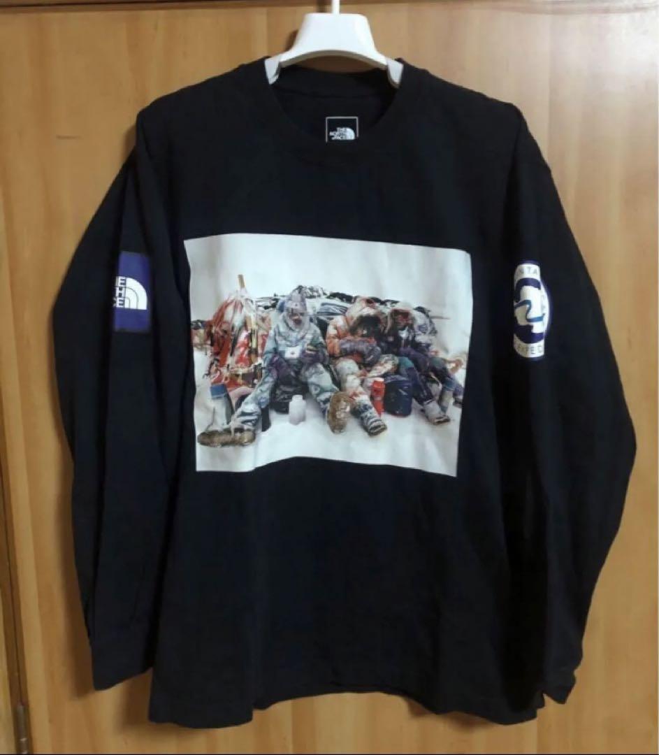 the north face トランスアンタークティカ　長袖　ロンT Lサイズ