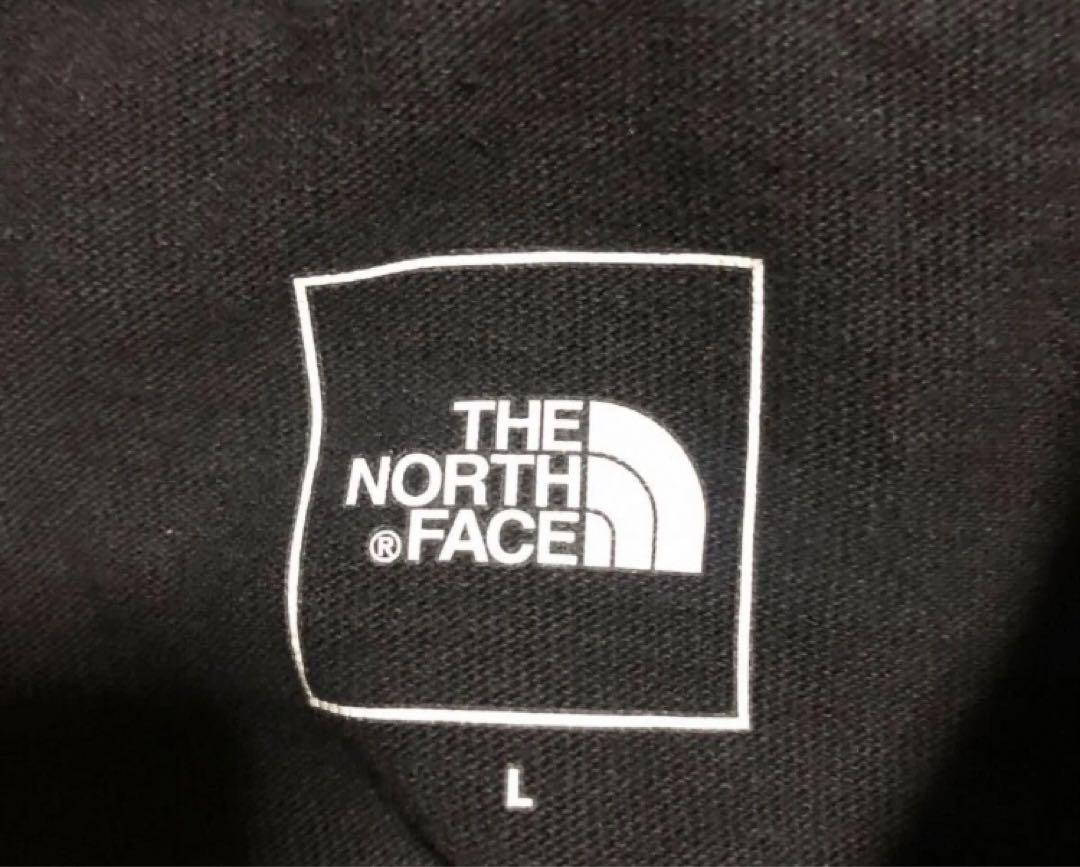 the north face トランスアンタークティカ　長袖　ロンT Lサイズ