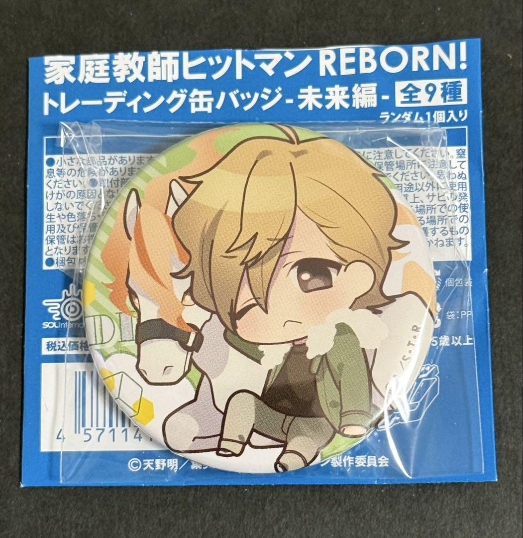 家庭教師ヒットマンリボーン REBORN 缶バッジ 未来編 9種