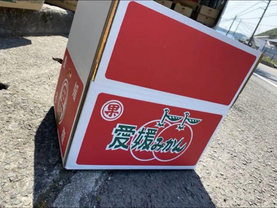 訳あり品　愛媛県　家庭用　甘平　柑橘　 10kg
