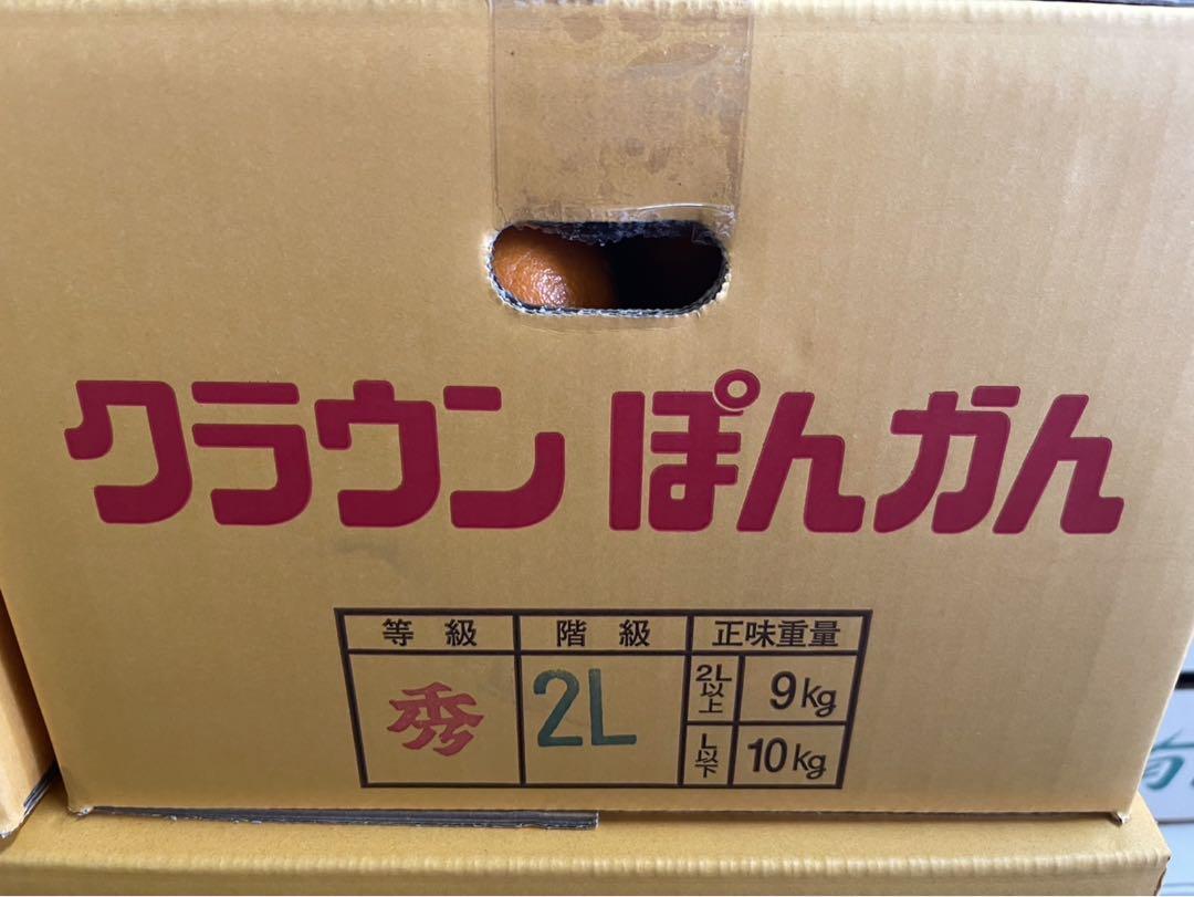 24 【和歌山県産】ポンカン　約9kg サイズお任せ(2L〜3L)