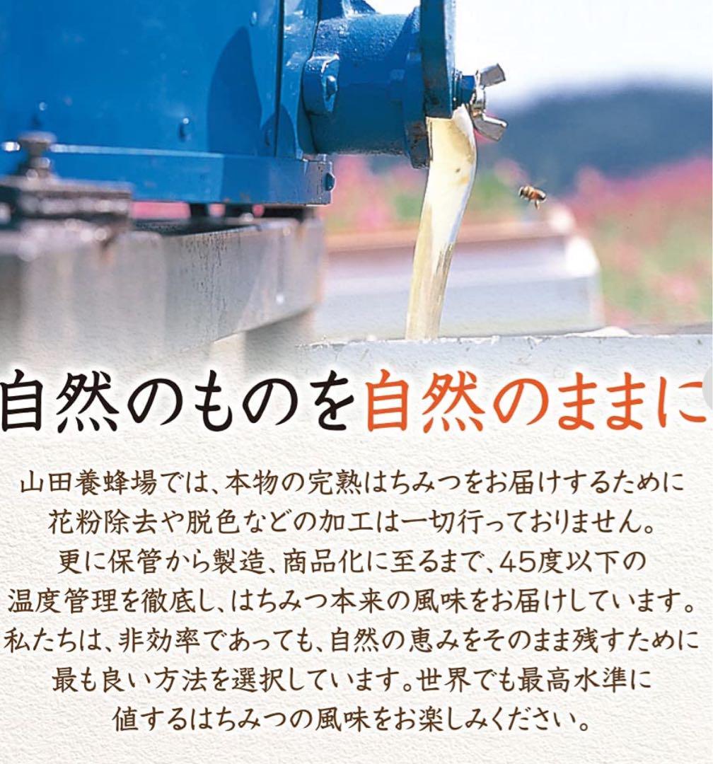 スペイン産 ローズマリー蜂蜜　6本セット販売