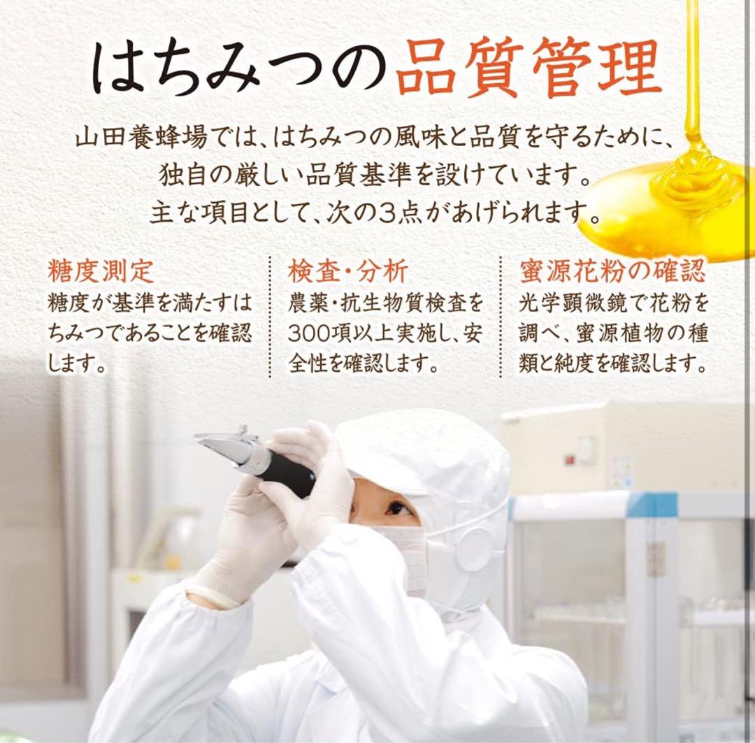 スペイン産 ローズマリー蜂蜜　6本セット販売